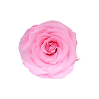 Handgemaakte eeuwige bloemen Assepoester kristallen schoenen voor Kerstmis en Moederdag, verzonden aan geliefden, vrienden, vriendinnen