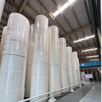 APP Paper & Paperboards Printing Food-Grade PE PLA Coated Laminated Paper Roll for Paper Packaging White Cardboard