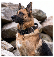 Collier pour chien robuste de haute qualité, multicolores, résistant à l'usure, réglable, collier tactique d'entraînement pour chien d'extérieur
