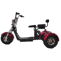 Scooter électrique Citycoco à 3 roues au design simple, moto pour le golf et les sports de plein air