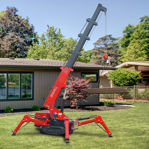 Gru Tonlita 3 Ton Mini telescopico ragno cingolato fornitore di gru con CE Euro V EPA altre gru - Product Image 1