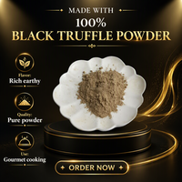 Poudre d'assaisonnement à la truffe noire, condiment gourmand à la truffe, rehausseur de saveur naturel, marque privée OEM pour la cuisson des pâtes et des steaks