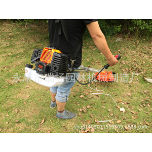 Desbrozadora CG520 de 52cc con motor de 2 tiempos y cuerpo metálico para cortar césped y recortar arbustos - Product Image 3