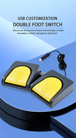 ZJSHUYI Double pédale USB personnalisable pour raccourcis de souris, jeux, dispositifs médicaux, pédale au sol
