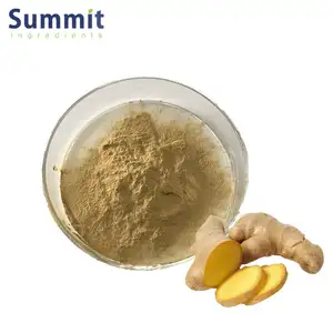 Wholesale Ginger Extract Gingerol 10% Ginger Powder Ginger Extract Powder