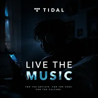 Tidal Hifi Plus, 1 an, compte musical premium, abonnement de 12 mois