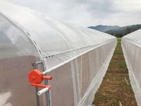 Serre tunnel en acier galvanisé à chaud sur mesure, à insérer dans le sol, pour la culture de légumes et de fruits