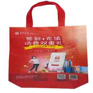 Hot Sale Custom Printed Polypropylene Non Woven Bag Tote Grocery for Business Use Bulk Order Factory Price