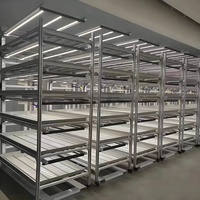 Système hydroponique de plateau d'inondation de reflux et de débit Table roulante/banc de semis