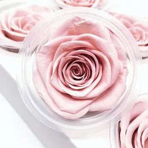 Eternal Rose Flowers 6 PCS 5 - 6 cm big Grade A real natural immortal roses Rose stabilizzate eterne per bouquet di fiori fai da te