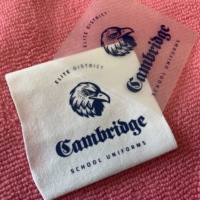 Étiquette de transfert de presse à chaud pour vêtements avec logo Eagle, autocollant de transfert de chaleur en vinyle sans étiquette pour le linge.