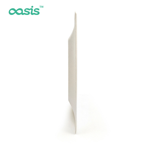 Carta per bagassa biodegradabile ecologica usa e getta quadrata senza PFAS senza uso e degradabile personalizzata - Product Image 2