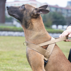 Large <strong>Dog</strong> Vest <strong>Collar</strong> with <strong>Tactical</strong> Chest Strap and Nylon Traction Rope Explosion-proof - Product Image 1