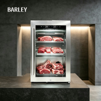 Mini-réfrigérateur à viande séchée UV en acier inoxydable avec compresseur électrique, refroidissement par air, sans givre, pour bœuf séché, usage hôtelier et domestique