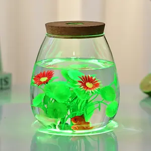 Wasserkulturpflanze Öko-Flasche Wasserkultur Blumentopf Betta Fischflasche Gefäß Dekoration Mikroplan landschaft Großhandel Glasvase