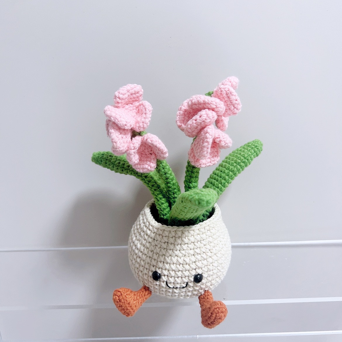 Produit fini en pot unique d'orchidée Smiley
