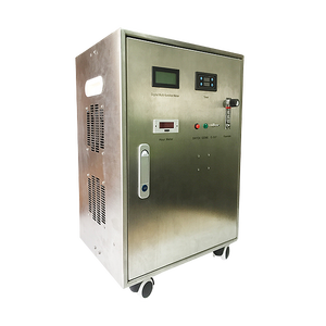 Concentrateur d'oxygène intégré, purificateur d'eau à l'ozone 10 g/h, <span class=keywords><strong>traitement</strong></span> de l'eau de <span class=keywords><strong>piscine</strong></span> - Product Image 5