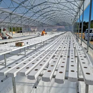 Dikey tarım hidroponik sistem 100x50mm NFT kanal 2X4 PVC otlar marul akıllı tarım sera için oluk büyümek