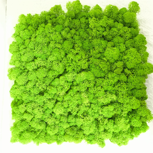 Großhandel Moos Wand kunst Sphagnum Preserved Moss Wand paneel Green Moss für Home Daily Decoration - Product Image 2