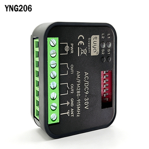 Módulo Universal Tuya RX MULTI 300-868MHz Wifi Smart Switch Module 2CH 433MHz 868MHz Smart Relay Smart Control Receiver Garage / - Product Image 1