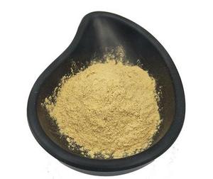 HARGA TERBAIK kualitas tinggi bubuk kacang kedelai Ekstrak kacang kedelai isoflavon bubuk kedelai Isoflavone - Product Image 3