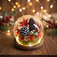 Mini sapin de Noël avec fleurs séchées sous cloche en verre, ornement de Noël