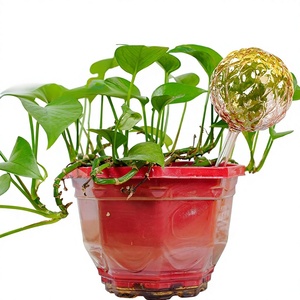 Regadera <span class=keywords><strong>de</strong></span> Vidrio <span class=keywords><strong>de</strong></span> Borosilicato <span class=keywords><strong>de</strong></span> Estilo Moderno y Minimalista para Riego Automático, Ideal para Personas con Poco Tiempo, Suministrada por Fabricantes - Product Image 1