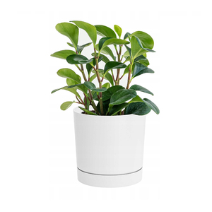 Couverture de pot de fleurs avec support de drainage Tubo P blanc pour plantes d'intérieur et d'extérieur - Product Image 1