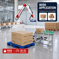Robot Palletizer Pabrik Canggih 50kg dengan Vacuum Gripper untuk Akumulasi Karton dan Pemuatan Pallet