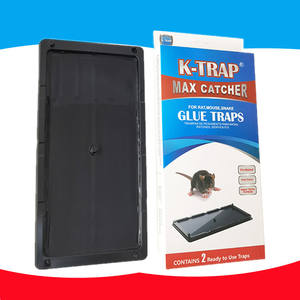 Piège à colle <span class=keywords><strong>de</strong></span> <span class=keywords><strong>rat</strong></span> <span class=keywords><strong>de</strong></span> souris <span class=keywords><strong>de</strong></span> plateau en plastique pré-appâté avec odeur d'attractif d'arachide - Product Image 3