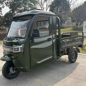 EU coc 25 km/h kèm theo điện hàng hóa Xe ba bánh 2000W/3000W mạnh mẽ Trike Ba Bánh Xe Tải điện với đảo ngược hình ảnh 45kmH - Product Image 6