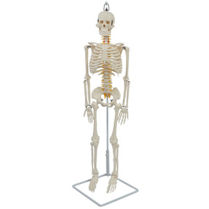 85 - Product Image 4