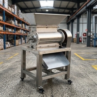Automatische mangosapcentrifuge, voedselsterilisator, roestvrijstalen verwerkingslijn met hoge capaciteit, turn-key project voor het maken van vers fruit sap