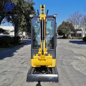 Rippa Custom Excavator Trenching Escavatore Small Scavatore Varrified Supplier 2Ton 3Ton Dig Excavator