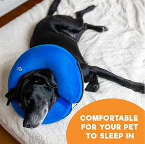 Collar inflable protector <span class=keywords><strong>para</strong></span> perros y gatos El collar de recuperación suave <span class=keywords><strong>para</strong></span> mascotas no bloquea la visión - Product Image 5