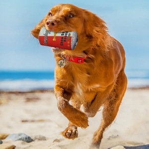 Plush Cylindrical Sound-Making Toy For <b>Dogs</b> And Cats Red And <b>Light</b> Green Outdoor Play - Product Image 1