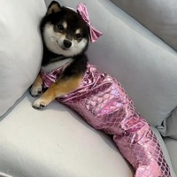 Queue de sirène décoration mignon moderne Polyester petit chien chat vêtements style accessoires de tir maillot de bain écologique