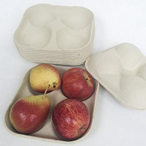 Tùy chỉnh khuôn bột giấy vận chuyển khay Khay trái cây cho siêu thị cho trang trại - Product Image 2