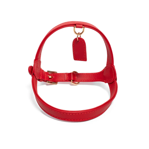 Arnés de cuero clásico para perros con hebilla dorada Etiqueta de nombre Fuerte tensión Fácil de usar para perros grandes, medianos y pequeños - Product Image 2