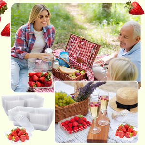 250g dâu tây hộp nhựa tái chế trái cây cấp thực phẩm dâu tây vỏ sò container với lỗ - Product Image 6