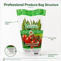 Sacs en gros de haute transparence pour laitues, sacs coniques en CPP avec trous de ventilation pour l'emballage des herbes et des fruits