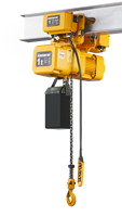 Palans électriques à chaîne avec double arbre, chariot motorisé plus stable, protection IP55 pour levage industriel intensif