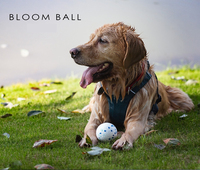 Jouet à mâcher pour chien en ETPU solide et durable, léger, résistant aux morsures, balle en caoutchouc indestructible, durable pour le jeu, emballé dans un sac