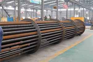 5% de réduction sur le séchoir rotatif pour sciure de bois, séchoir à copeaux de bois, séchoir à marc de <span class=keywords><strong>vin</strong></span>/haricots à <span class=keywords><strong>prix</strong></span> compétitif avec source de chauffage au charbon/gaz/huile - Product Image 4