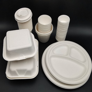 Bagasse Cup Disposable Biodegradable Printed Logo 16oz Sugarcane Bagasse Cup With Bagasse Lid