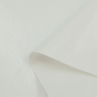 Película Adhesiva de TPU Elástica de Alta Calidad, 0.05 mm de Grosor, Película de Pegamento Termofusible