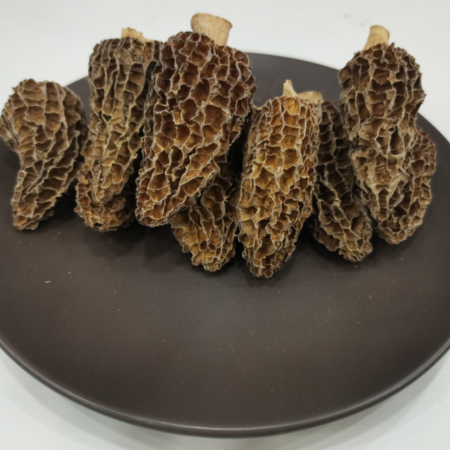 Wholesale Price Dried Morel Mushroom Morilles High Quality Fresh Dried Morchella Mushroom Fungus