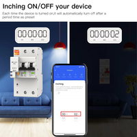 Interrupteur intelligent WiFi 63A 1P+N avec compteur d'énergie, surveillance de la consommation en kWh, relais temporisé, contrôle Tuya/SmartLife, disjoncteur intelligent