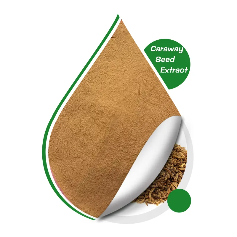 Extrato de sementes de caraway fornecido por fábrica na China, venda quente, amostra grátis natural de extrato de sementes de caraway em pó a granel