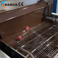 Machine d'enrobage automatique au chocolat pour les dés de framboises et mangues lyophilisées